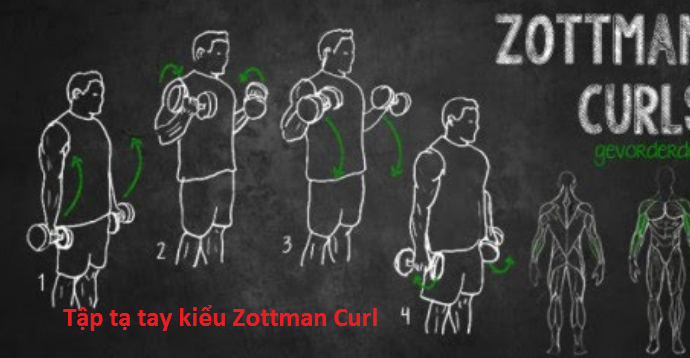 Tập tạ tay kiểu Zottman Curl